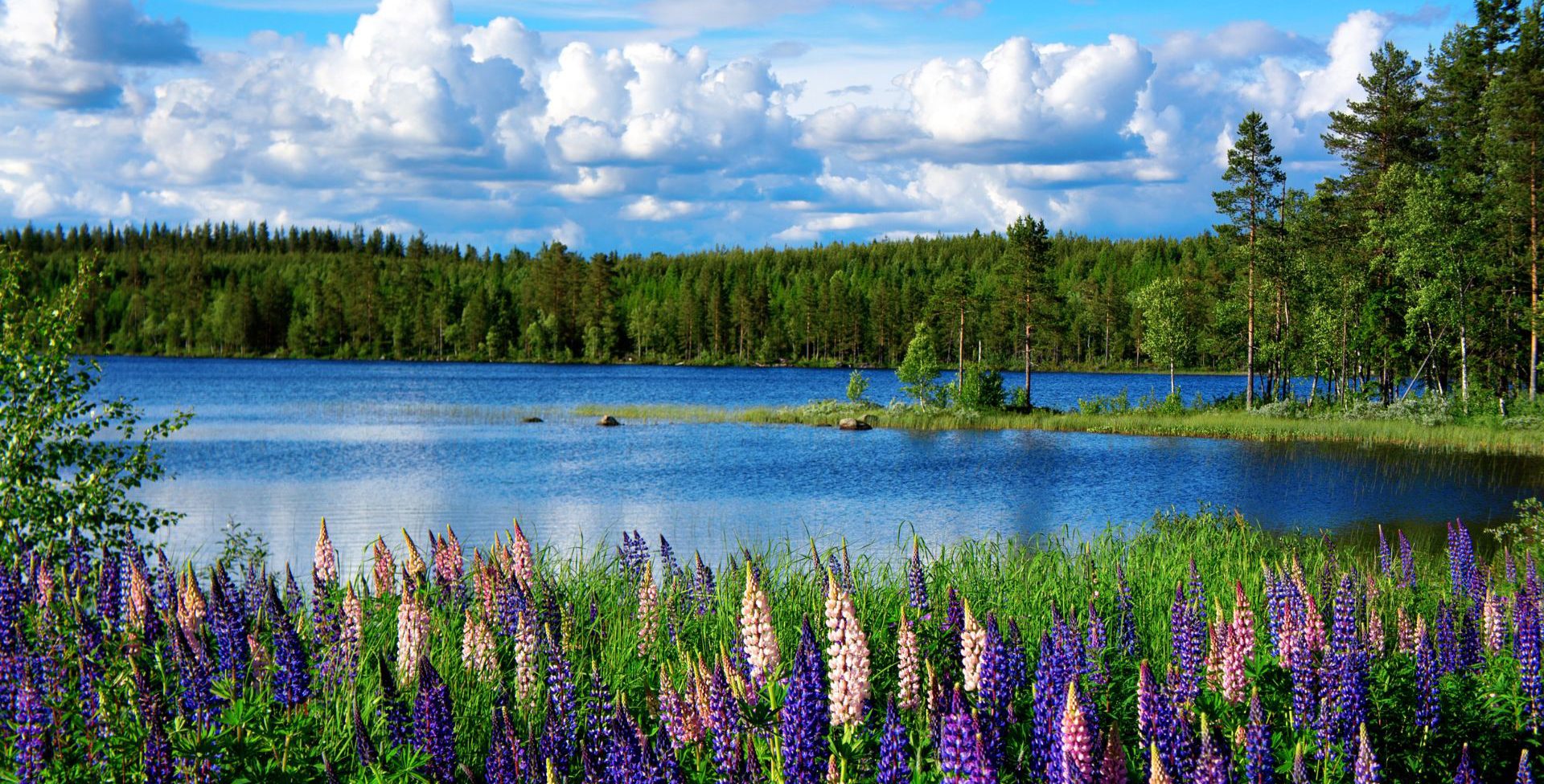 Landscape Photography